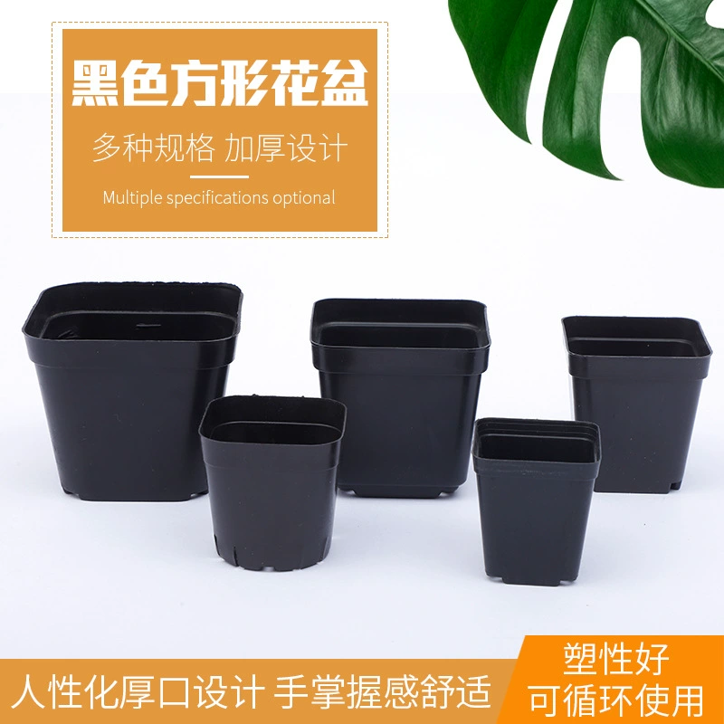 Садовые принадлежности суккулент маленький черный квадратный горшок черный цветочный горшок пластиковый суккулент маленький черный квадратный цветочный горшок завод цветочный горшок оптом