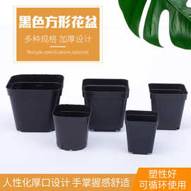 园艺用品多肉小黑方盆黑色花盆塑料多肉小黑方花盆厂家花盆批发