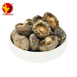 黑木耳;香菇;其他滋补