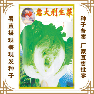 �T�����߲˷N�ӏS��ֱ�����������ش����ļ��Nֲ�N ���������