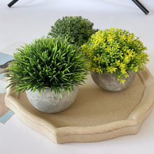 �羳؛Դ����Gֲ�͹Ű�A����ֲ��С�辰�bٻ����{���Ԕ[��