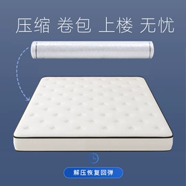 乳胶弹簧床垫;床垫、席梦思;棕榈弹簧床垫