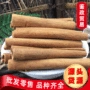 散装干花卷烟肉桂皮