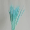 Light blue (50)