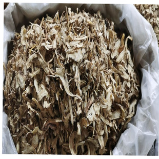 ���w���dș�����l�����o����؛���w �r�����ɫ��؛��