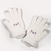 Gloves, winter knitted fleece non-slip keep warm fashionable set, increased thickness, wholesale