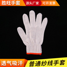 �޼�����  500g������ ��X�Cᘿ����ܼ��� �ڱ����� �z�y���