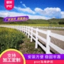 农场马场pvc塑钢护栏