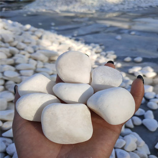 50 catty White stone big pebble water washing stone courtyard paving garden potted fish tank decorative white stone