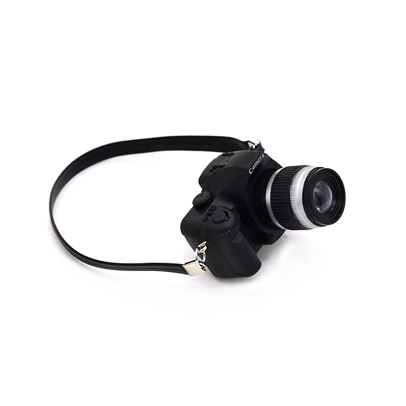 캐논 SLR 카메라