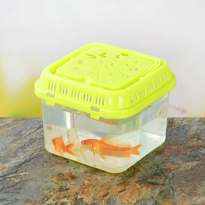 Plastic aquarium, wholesale