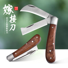 �S�ҹ������P䓈@ˇ���߻���ľ�|ѿ�ӵ�����ľ�Ә䵶����޽�С��