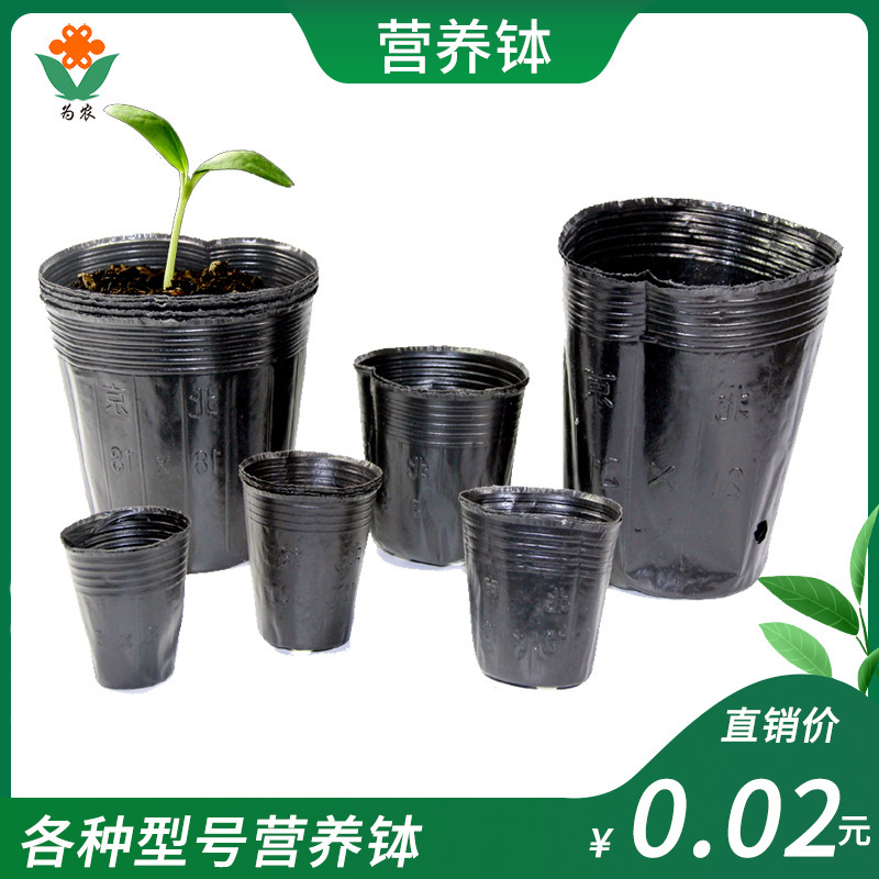 High quality nutrition bowl seedling Cup disposable nutrition bag planting flower pot nutrition Cup seedling pot planting seedling pot
