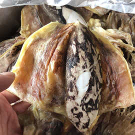 批发北海墨鱼 淡干小墨鱼干 半斤9-12个左右 250g 一件代发