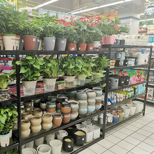 껨̈չֲܶչʾܳоƷXϽ