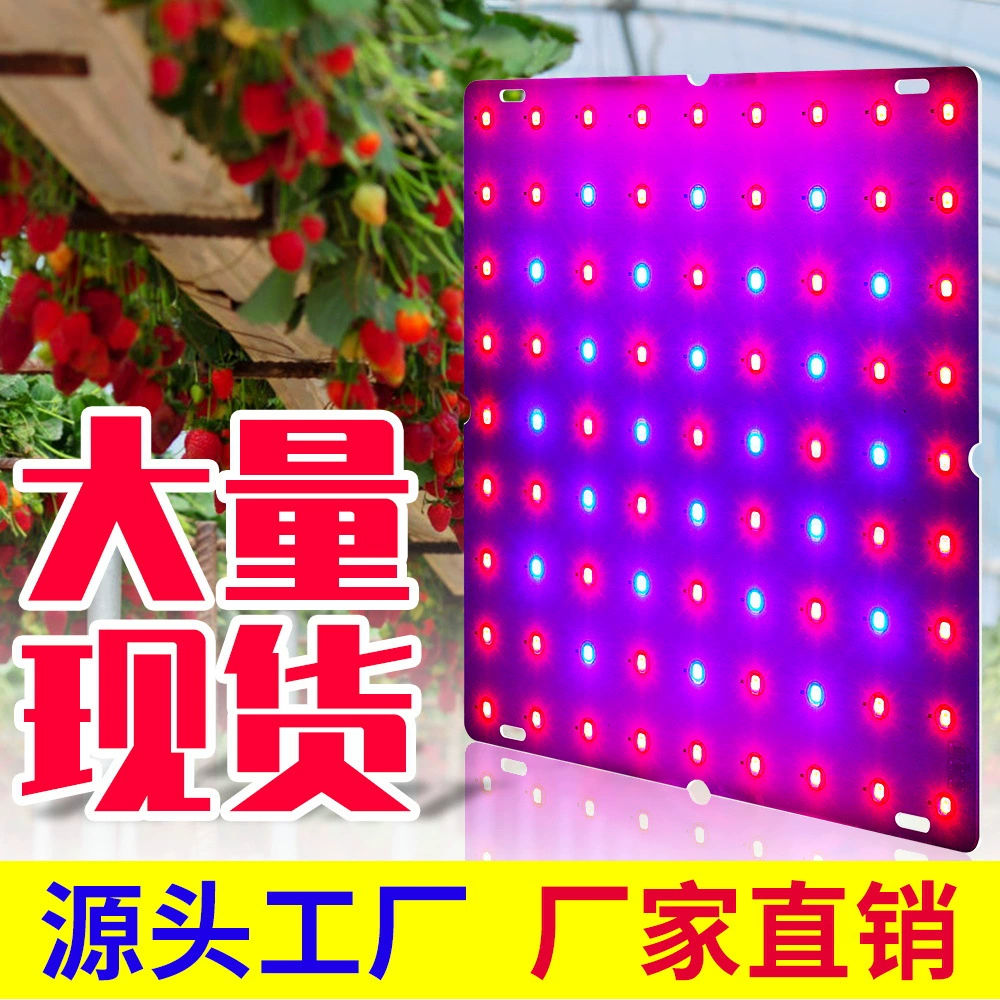 Qianrun Lighting светодиодный светильник для роста растений, квантовая доска, внутренний полный спектр, сочный заполняющий свет, светильник для посадки рассады