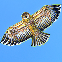 ������ͯ�ߙn���������݆���w�L�~�L�~�L�~ǰ�H���ΗU��������