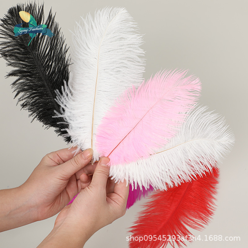 Cross-Border Trade Stage Feather Red Wall Wedding Feather Velvet Flower Arrangement Thick Stem Ostrich Feather Colorful Large Feather DIY