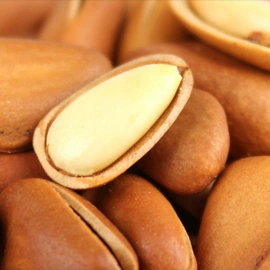 其他药食同源;参类滋补品;豆类