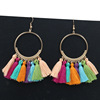 Fashionable earrings, accessory, boho style, European style, wholesale