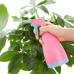 Candy-colored watering can alcohol spray bottle hand-operated plastic flower watering sprayer small spray bottle balcony plant watering sprayer wholesale