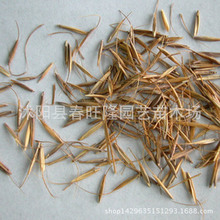 l|ݷNӲo¹ݷNâͺͺ|²