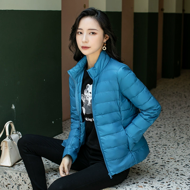 Storage bag, velvet demi-season down jacket with down, European style, plus size, duck down