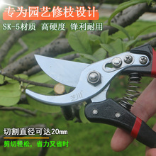 ��֦������������޼���֦���������޻���@ˇ�������܈@����֦��