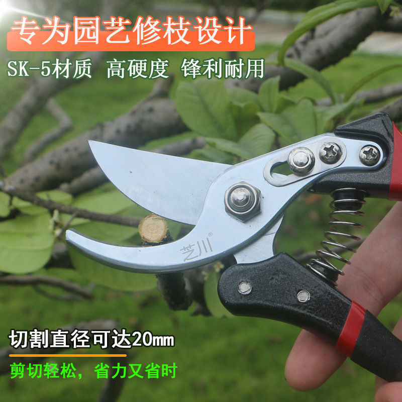 剪枝剪刀果树剪子修剪树枝剪刀强力修花剪园艺剪刀花卉园林修枝剪