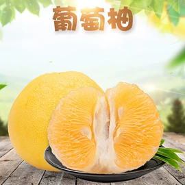 代用/养生茶;苹果;花果茶