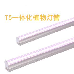 led Plant Growth Fill Light Tube Red and Blue Light Seedling Group Culture Lamp Vegetarian Flower Multi-internal Coloring Anti-diameter Long Lamp