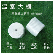 Դ�^�S�����a�N�ۜ��Ҵ��￹����Ĥ����Ĥ����Ĥ�K��Ĥ��