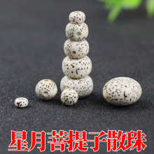 厂家批发星月散珠顺白星月菩提子高密DIY佛珠108颗手链配饰材料