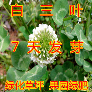 �׻����~�ݷN�Ӽt���~�����M�ڷN�����l���\�ݷN�ӹ��̾G�����~��