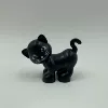 Little Black Cat