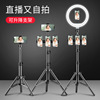 Phone holder, handheld tubing, floor fill light suitable for photo sessions