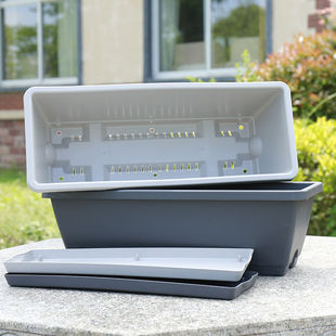 �􂐷N�����L�l�����̨��ͥ�N���҃ȴ�̖�߲��L���ηNֲ�ۈ@ˇ