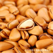 ���ؖ|��������̖�Rȫ����M�_���ׄ����w��10���b�������l����