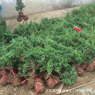 �S��؛Դ�ذ���䘶 �ذؘ����辰 �ذ��辰����䁵ذ�С��