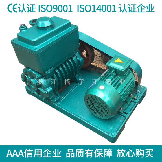 2x-30 rotary vane vacuum pump 2x type two-stage belt type 3KW rotary vane vacuum pump