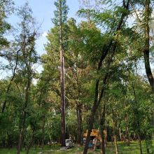 厂家生产销售仿生树铁塔景观塔钢结构仿生树美化塔仿松生树通信塔