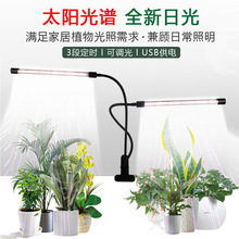 LEDֲ�����L��USB�A��ˮ���a��Nֲ�����⻨��ֲ���ȫ���V�a���