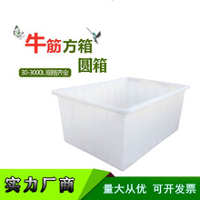 塑料长方形大号牛筋水箱加厚水产养殖箱海鲜运输白色周转箱桶密封