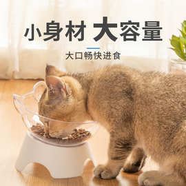 猫碗狗碗猫咪单碗防滑猫碗斜口工厂批发可跨境护颈透明宠物碗高脚