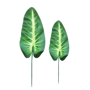 羳؛Դ滨GֲcԷֲ҃~~辰߷