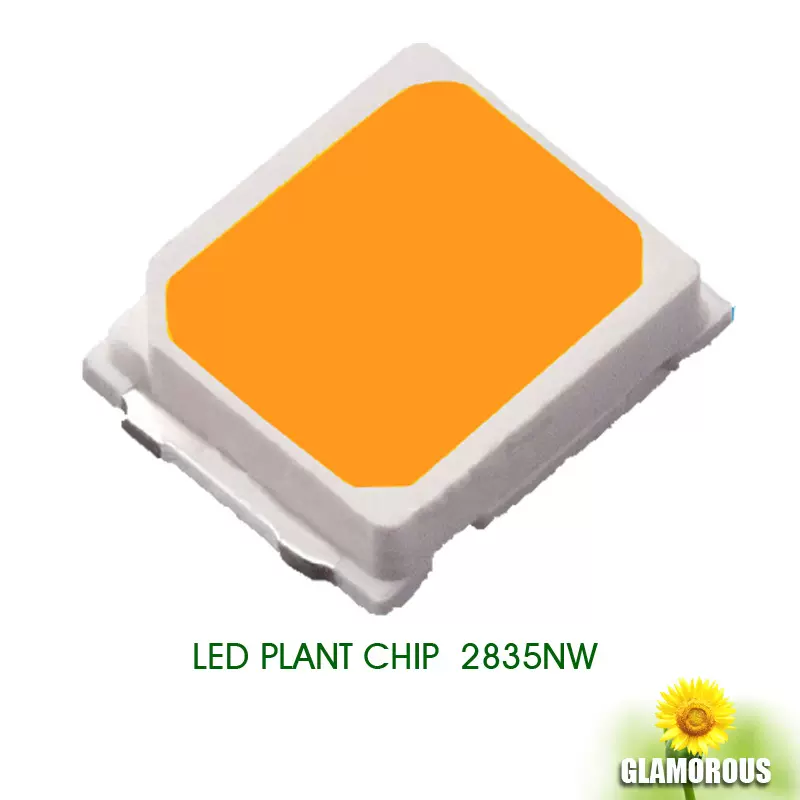 全光谱 2835灯珠 led灯珠贴片灯珠高显白光植物灯珠生菜蔬菜补光