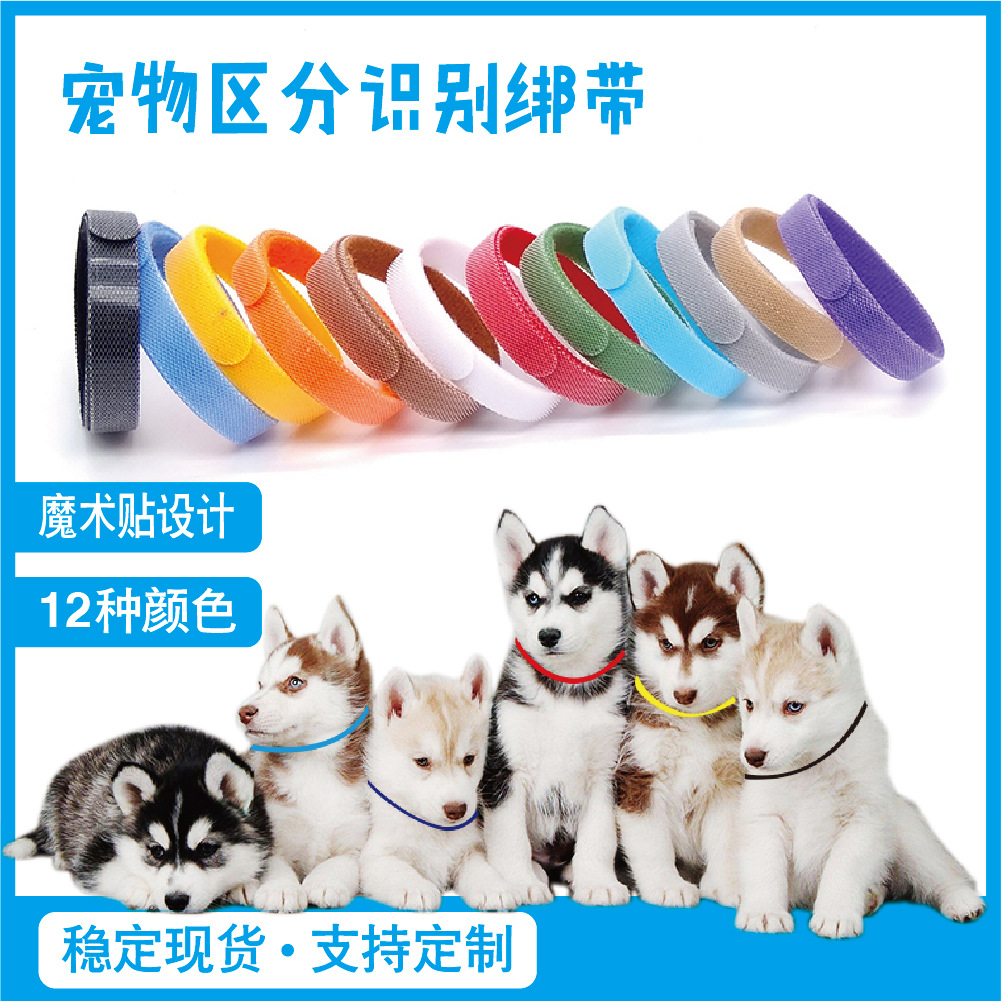 跨境现货12色宠物ID魔术贴绑带 宠物身份绑带 小猫小狗身份识别带