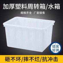 _PEˮLˮˮaռ{DɫBֳϿ