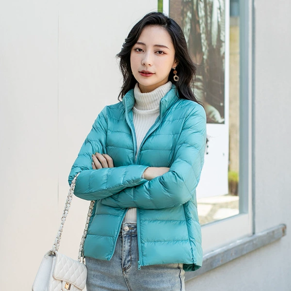Bean green [standing collar]