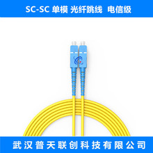 单模尾纤 光纤跳线 SC/UPC-SC/UPC-SM-3.0M 9/125 电信级跳纤